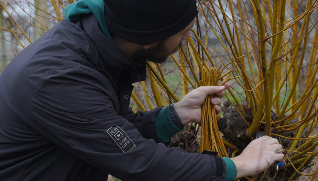 488782534_1092924156208617_924400080106279175_n